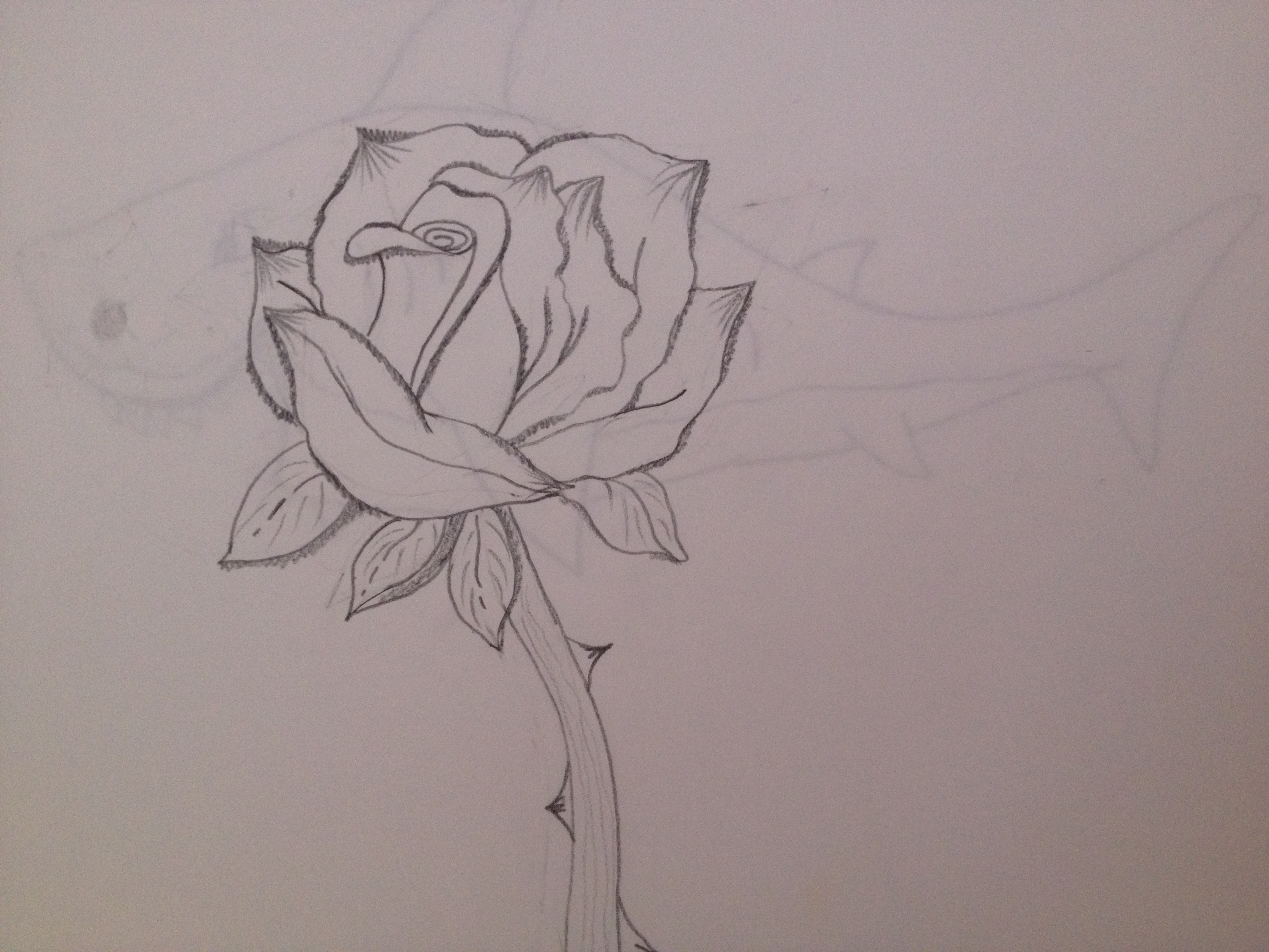 Rose I Love You Drawing